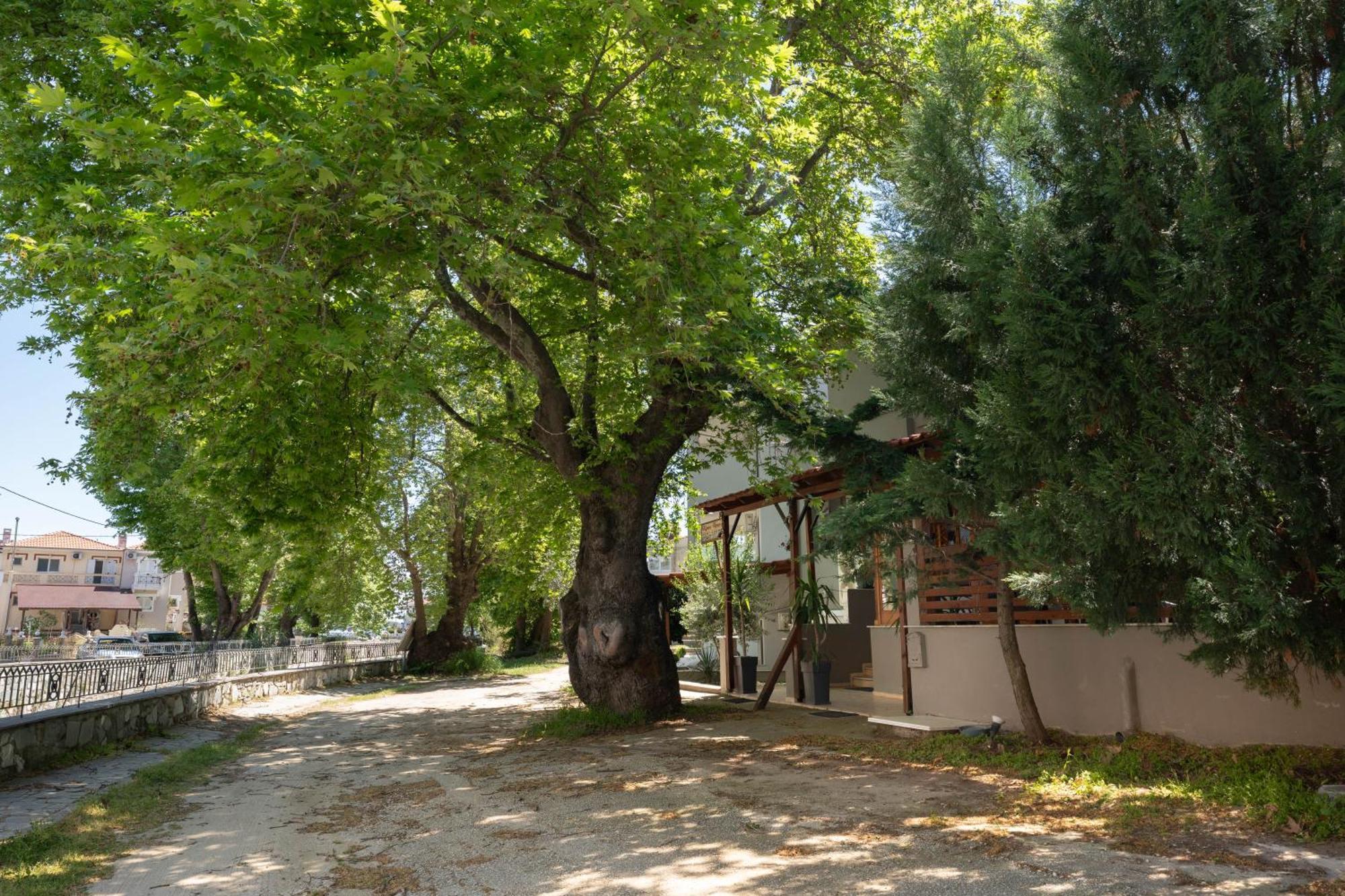 Hotel Kipos 3*