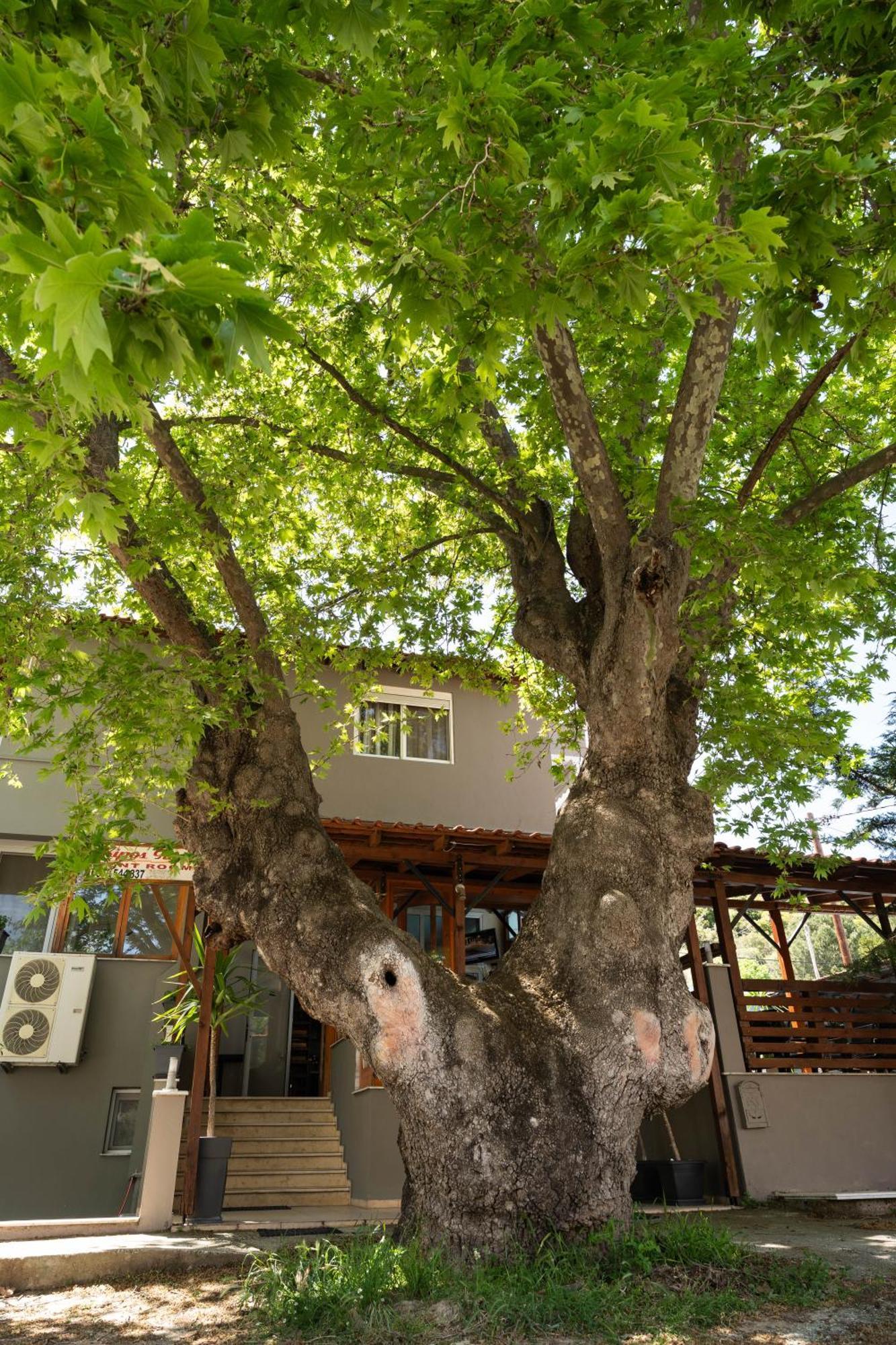 Hotel Kipos Néa Péramos